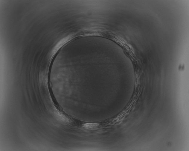 X0000097000051200803071127