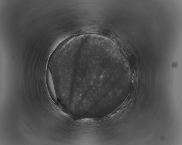 X0000097000052200803071127