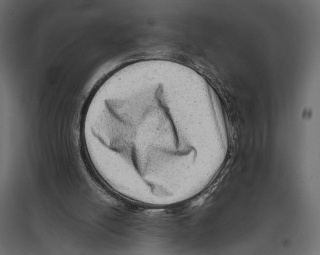 X0000097000054200803071127