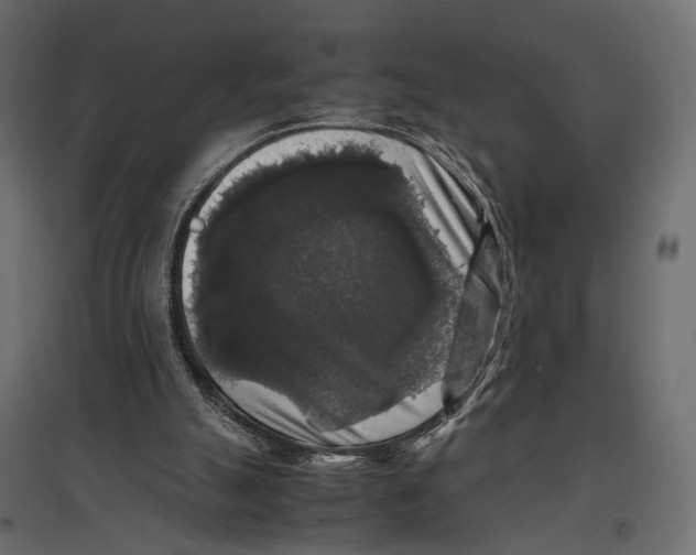 X0000097000055200803071127