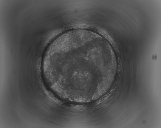 X0000097000058200803071127