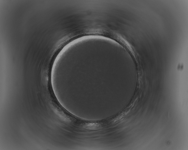X0000097000059200803071127