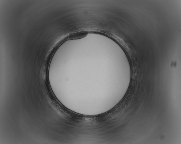 X0000097000060200803071127