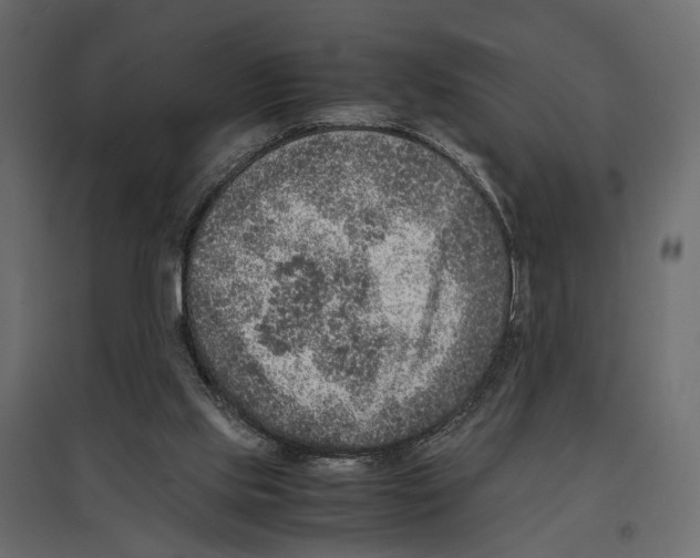 X0000097000061200803071127