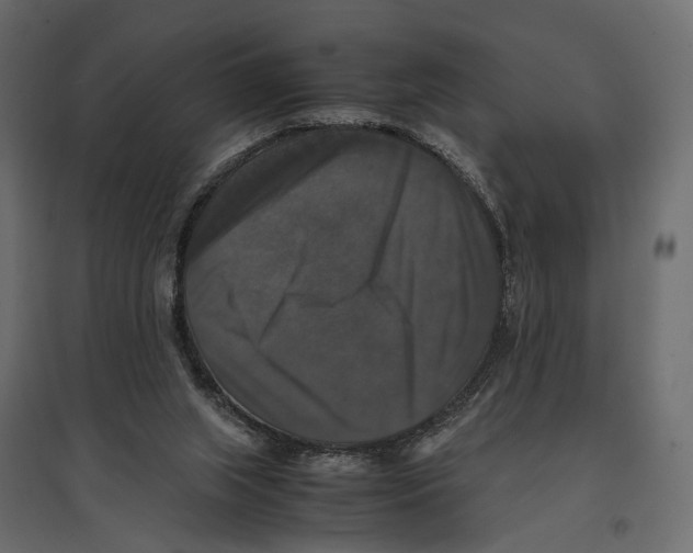 X0000097000063200803071127