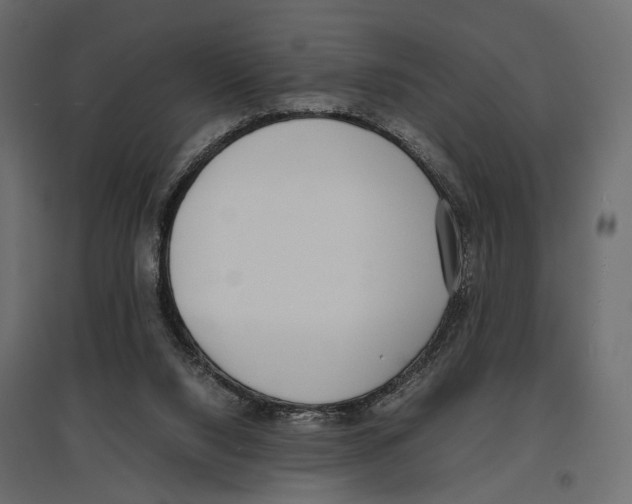 X0000097000064200803071127