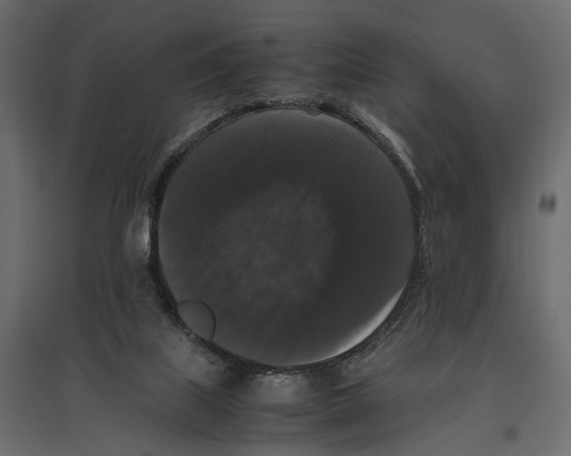 X0000097000067200803071127