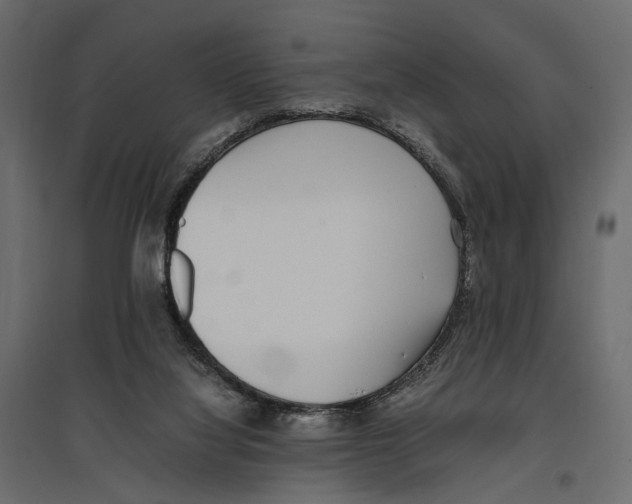 X0000097000068200803071127