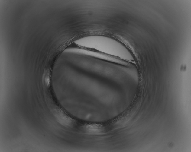 X0000097000069200803071127