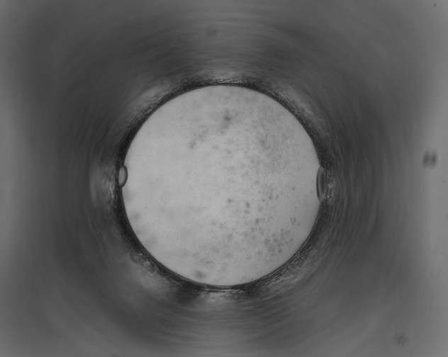 X0000097000072200803071127