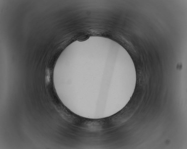 X0000097000075200803071127