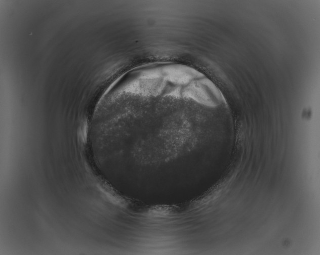 X0000097000076200803071127