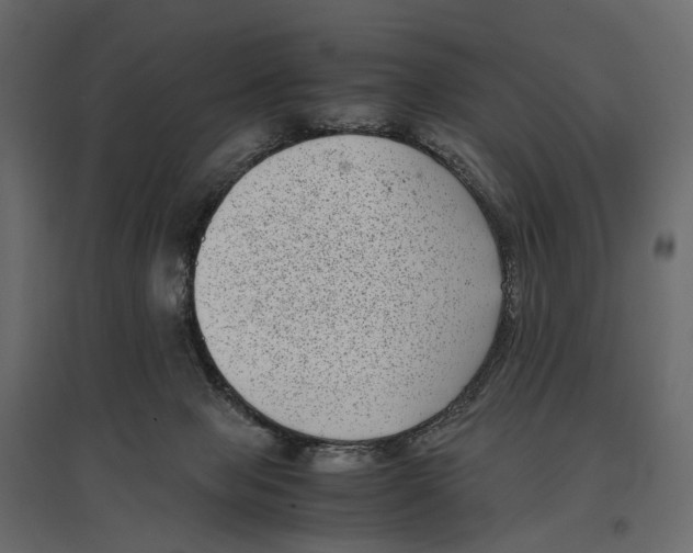 X0000097000077200803071127