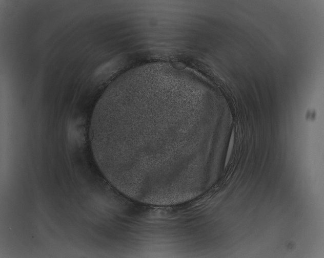 X0000097000080200803071127