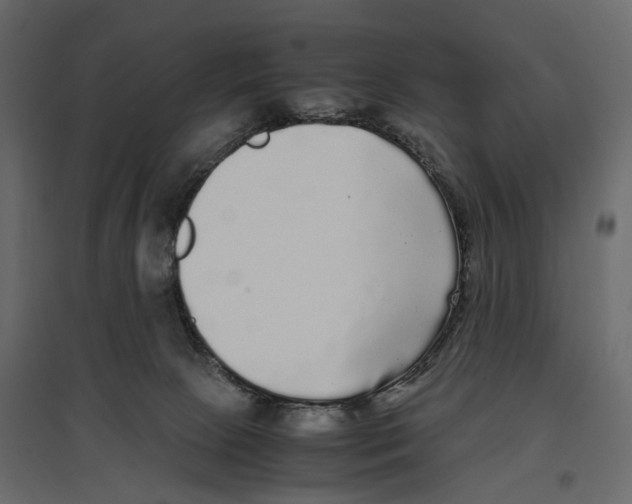 X0000097000081200803071127