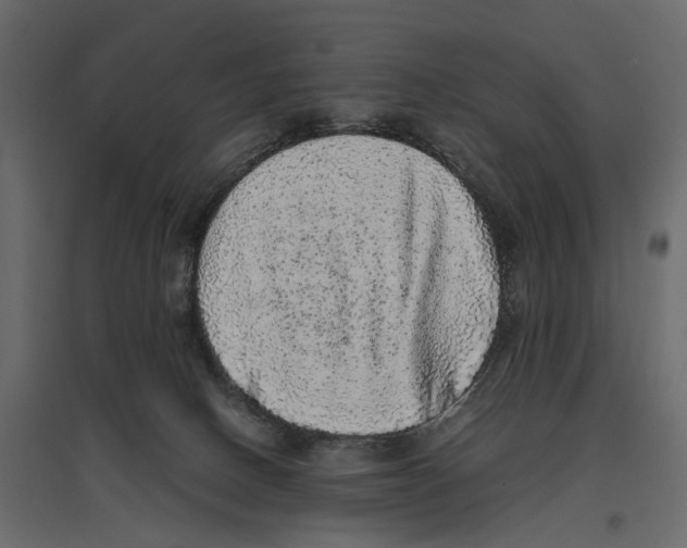 X0000097000082200803071127