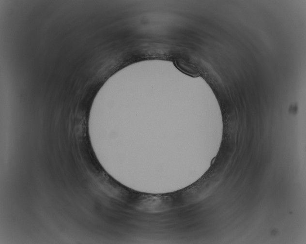 X0000097000083200803071127