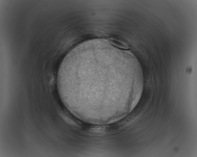 X0000097000084200803071127