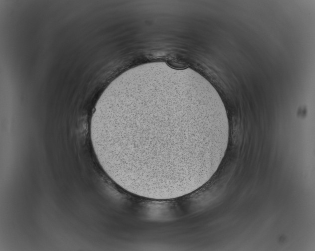 X0000097000085200803071127