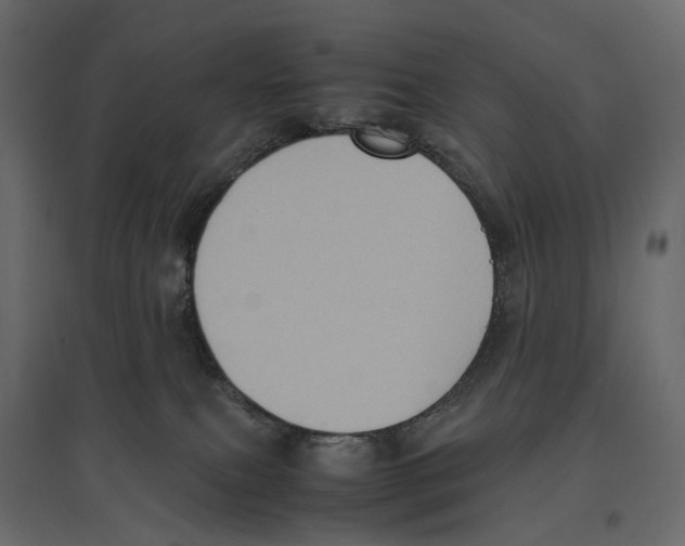X0000097000087200803071127