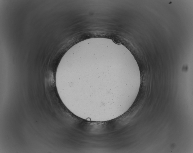 X0000097000089200803071127