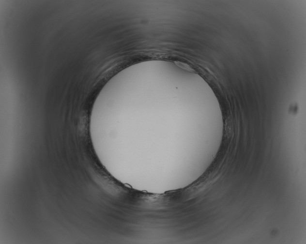 X0000097000092200803071127