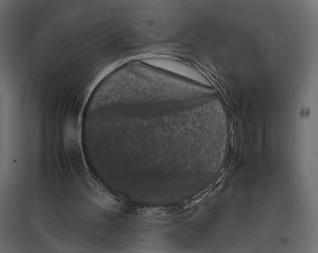X0000097000100200803071127