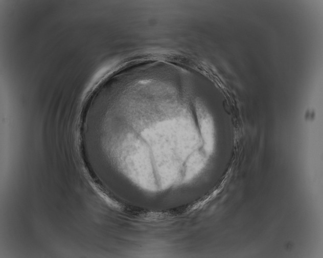 X0000097000101200803071127