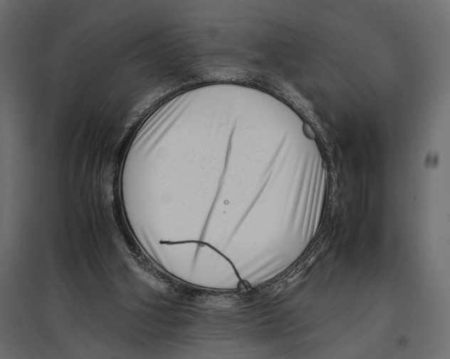 X0000097000106200803071127