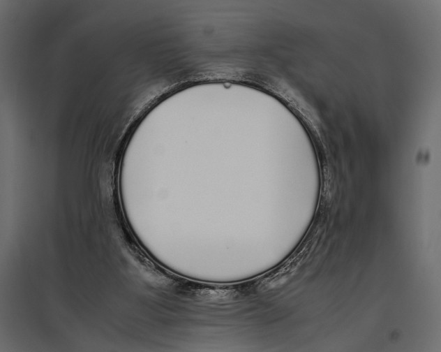 X0000097000107200803071127