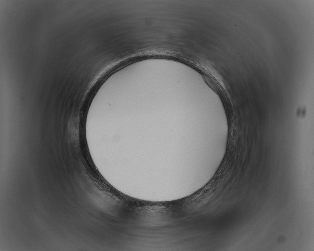 X0000097000108200803071127