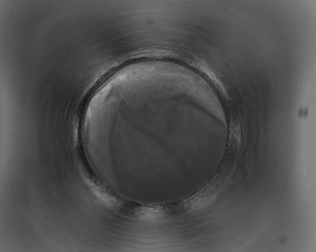 X0000097000110200803071127