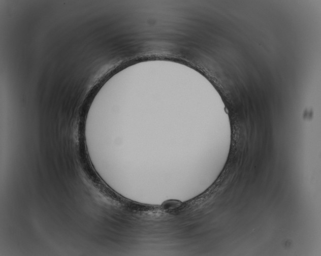 X0000097000112200803071127
