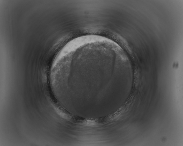 X0000097000114200803071127