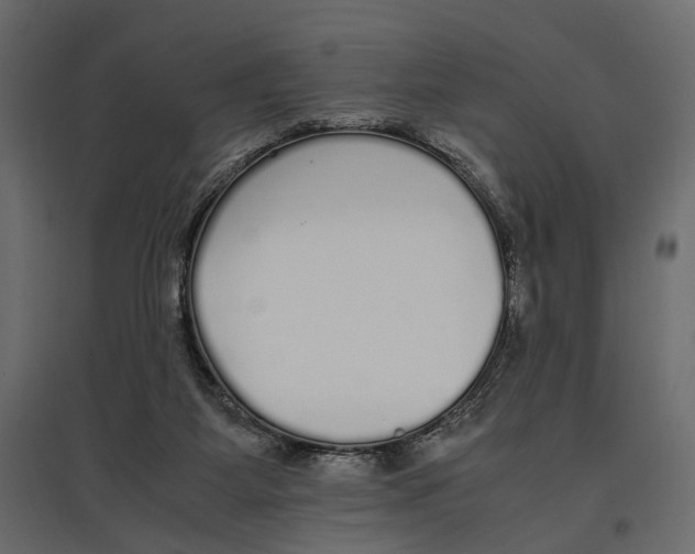 X0000097000115200803071127