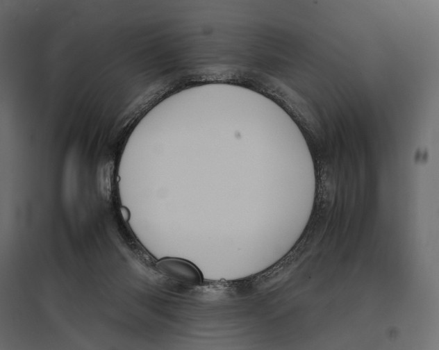 X0000097000118200803071126