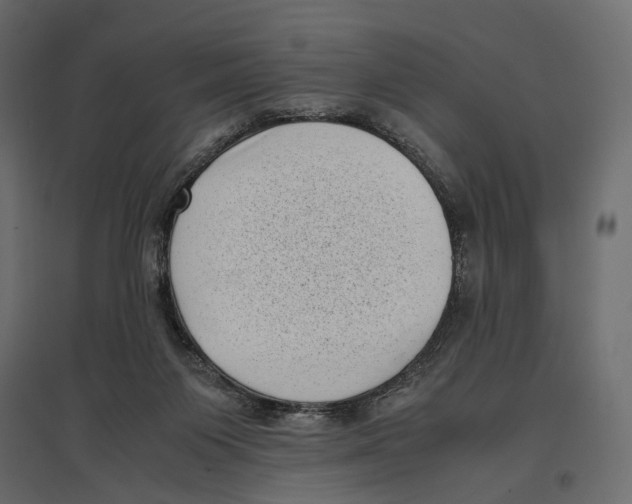 X0000097000119200803071126