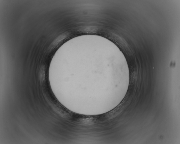 X0000097000120200803071126