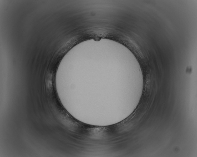 X0000097000122200803071126