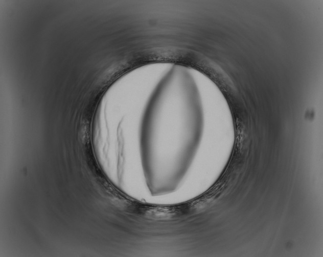 X0000097000123200803071126