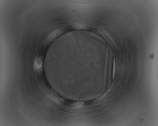 X0000097000124200803071126