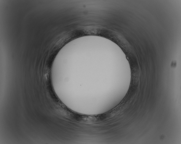 X0000097000125200803071126