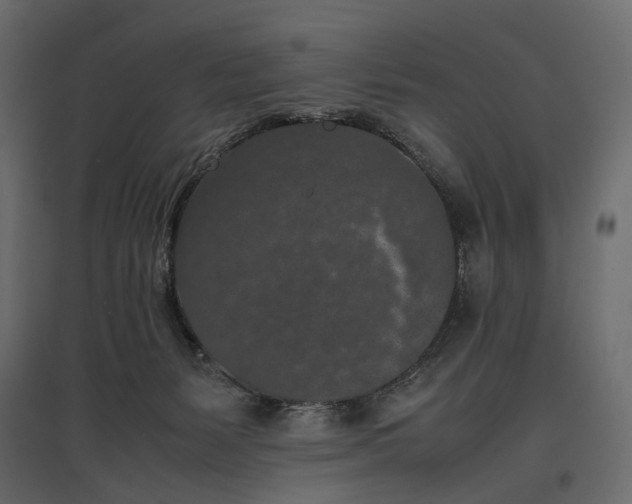 X0000097000127200803071126