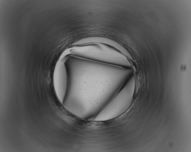 X0000097000128200803071126