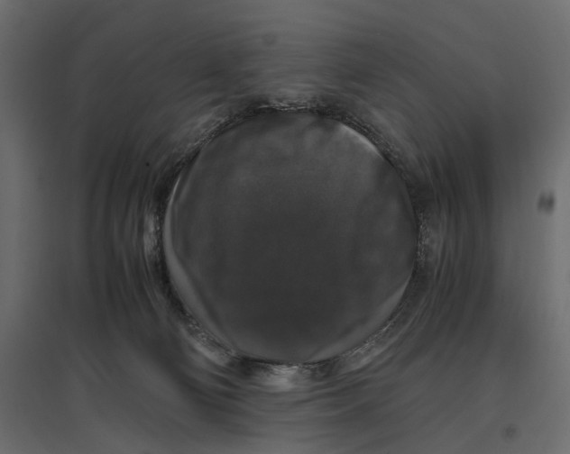 X0000097000130200803071126