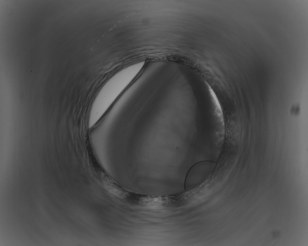 X0000097000131200803071126