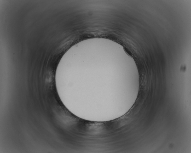 X0000097000132200803071126