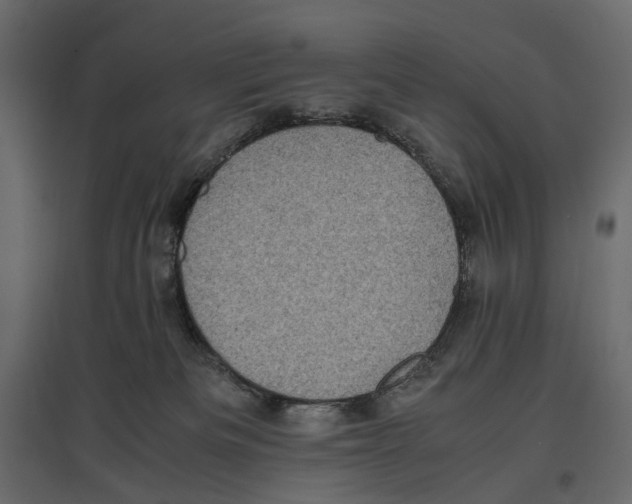 X0000097000133200803071126