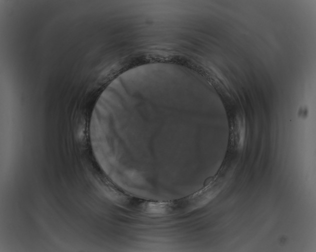 X0000097000134200803071126