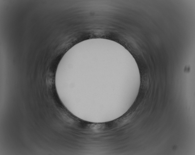 X0000097000135200803071126